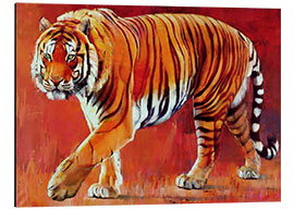 Aluminium print Bengal Tiger