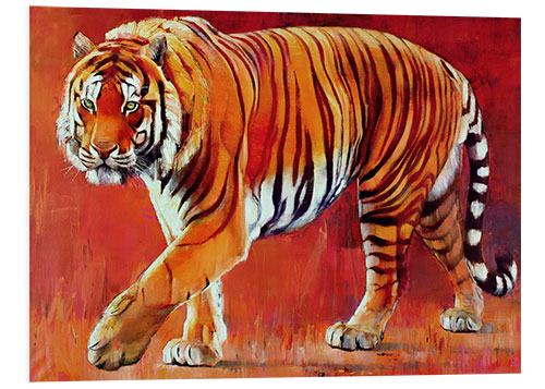 Foam board print Bengal Tiger