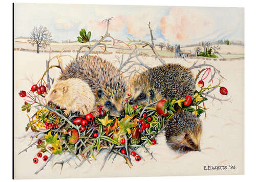 Cuadro de aluminio Hedgehogs in Hedgerow Basket