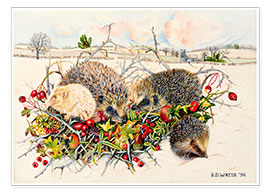 Póster  Hedgehogs in Hedgerow Basket - E.B. Watts