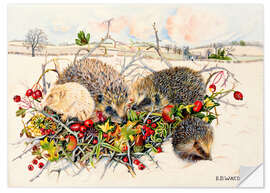 Vinilo para la pared Hedgehogs in Hedgerow Basket