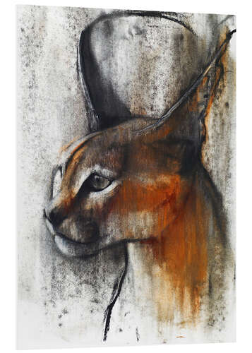 Foam board print Caracal Profile