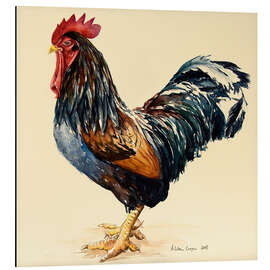 Aluminium print George's cock, 2007