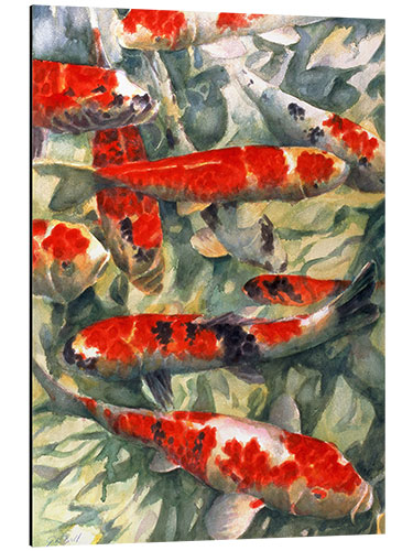 Stampa su alluminio Koi Carp