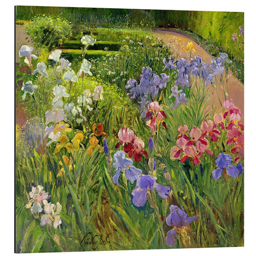 Aluminium print Beautiful flower bed