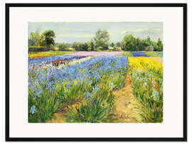 Gerahmter Kunstdruck Blumenacker
