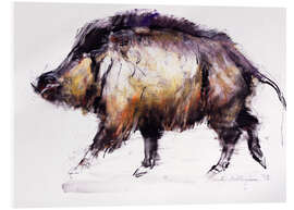 Acrylic print Wild Boar