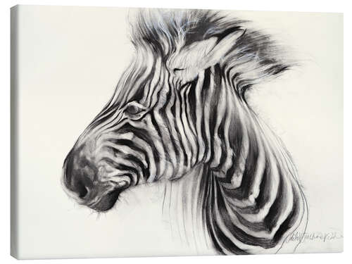 Canvas print Baby Zebra