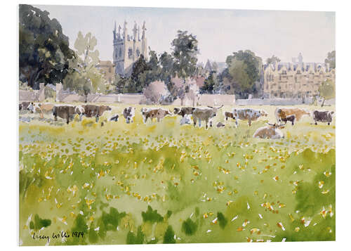 Foam board print Looking Across Christ Church Meadows (Oxford)