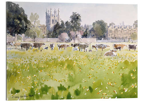 Gallery print Looking Across Christ Church Meadows (Oxford)