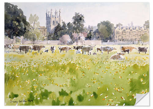 Naklejka na ścianę Looking Across Christ Church Meadows (Oxford)