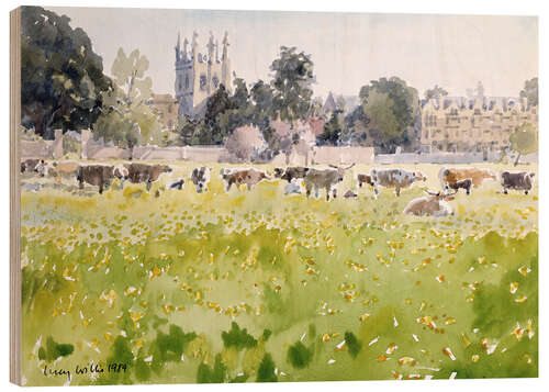 Cuadro de madera Looking Across Christ Church Meadows (Oxford)