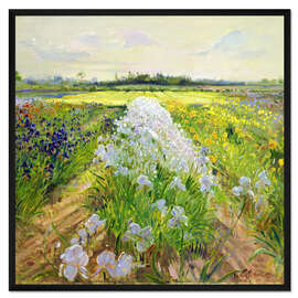 Gerahmter Kunstdruck Blumen auf einem Acker