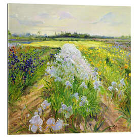 Galleritryck Flowers on a field