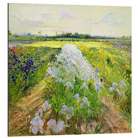 Magnettafel Blumen auf einem Acker