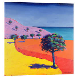 Acrylglas print Rode route