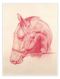 Tableau Portrait d'une tête de cheval, 2010 - Emma Kennaway