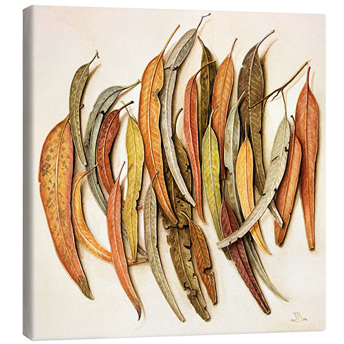 Canvas print Eucalyptus Leaves, 2004