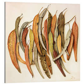 Magnettafel Eukalyptus Blätter, 2004