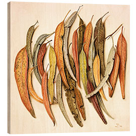 Wood print Eucalyptus Leaves, 2004