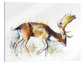 Gallery print Elk searching food