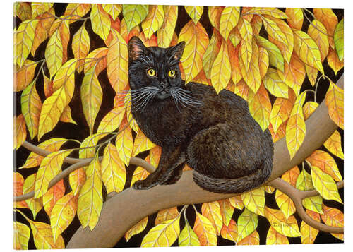 Acrylic print autumn leaves
