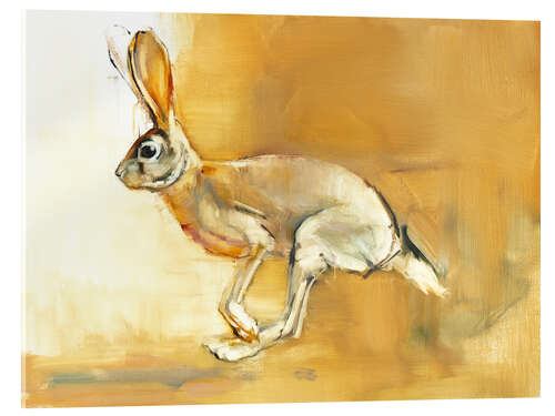 Acrylic print Jumping Rabbit