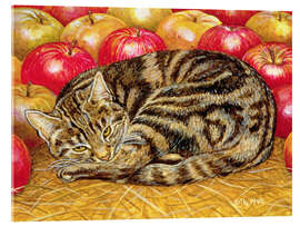 Acrylglasbild Katze und Äpfel
