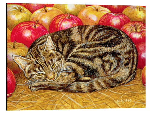 Obraz na aluminium Cat and Apples