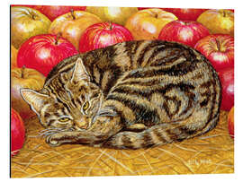 Magnettafel Katze und Äpfel