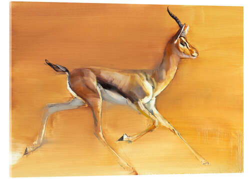 Acrylic print Trotting Gazelle