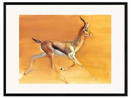 Framed art print Trotting Gazelle