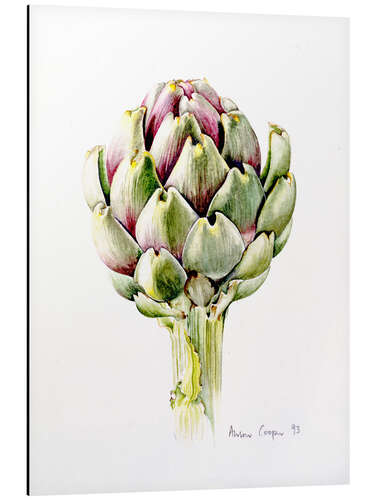 Aluminium print Study of an artichoke, 1993