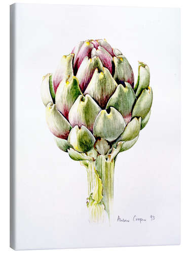 Canvas print Study of an artichoke, 1993