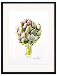 Gerahmter Kunstdruck Studie einer Artischocke, 1993