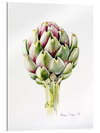 Gallery print Study of an artichoke, 1993