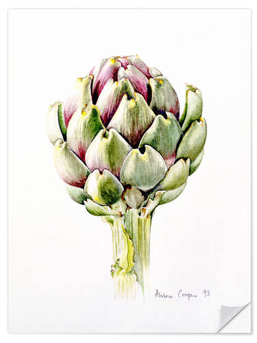 Wall sticker Study of an artichoke, 1993