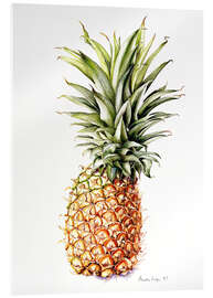 Acrylglasbild Ananas, 1997