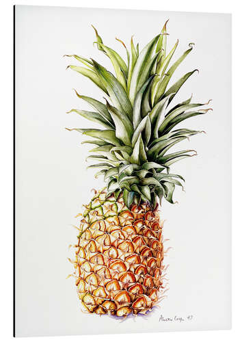 Aluminium print Pineapple, 1997