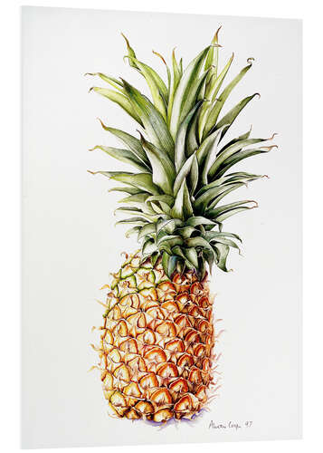 Print på skumplade Ananas, 1997