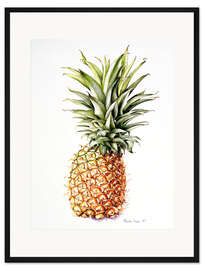 Gerahmter Kunstdruck Ananas, 1997