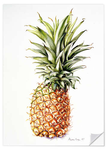 Wall sticker Pineapple, 1997