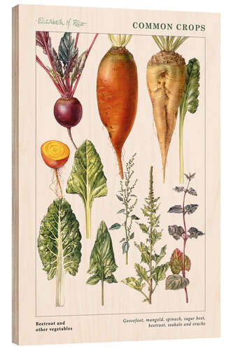 Quadro de madeira Beetroot and other vegetables