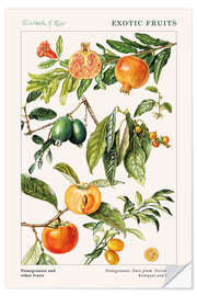 Selvklebende plakat Pomegranate and other fruits