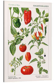 Magnettafel Tomaten und andere Nachtschattengewächse, 1986