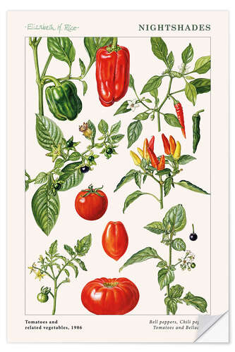 Wall sticker Tomatoes and other nightshades, 1986