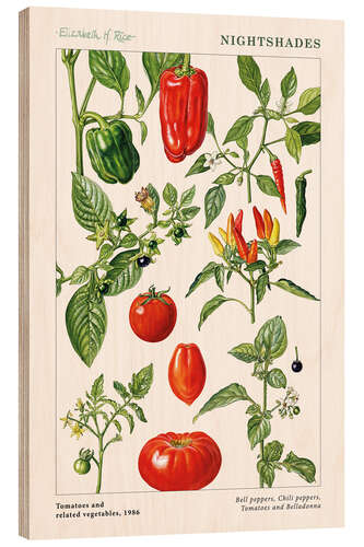 Trebilde Tomatoes and other nightshades, 1986