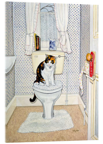 Acrylglasbild Katze auf der Toilette