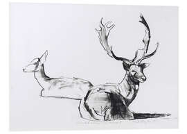 Foam board print Lying deer couple