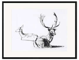 Impression artistique encadrée Lying deer couple